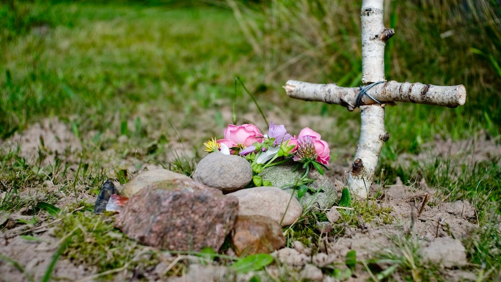 In den meisten Bundesländern ist das Beisetzen von Haustieren im Garten erlaubt. Allerdings gelten auch hier bestimmte Regelungen.