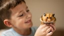 Hamster kein Haustier für Kinder