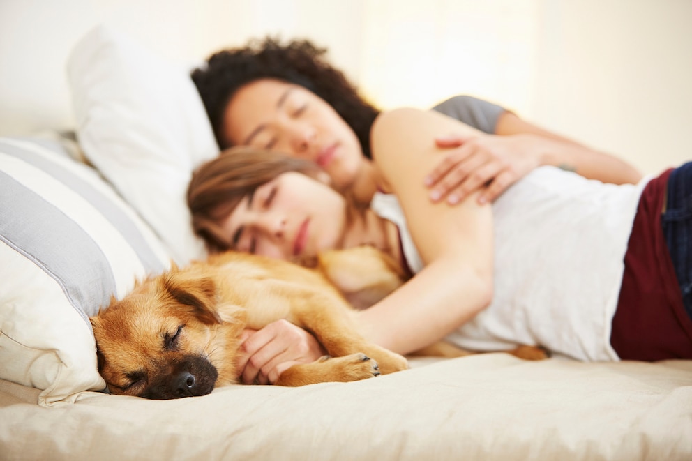 Zwei Frauen liegen zusammen mit dem Hund auf dem Bett