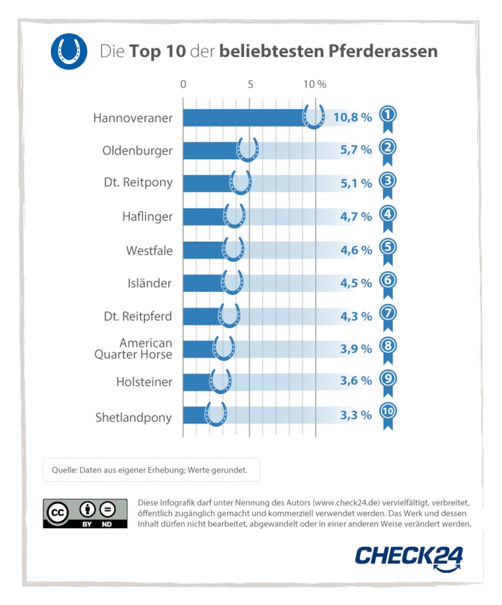 Ranking der beliebtesten Pferderassen in Deutschland von Check24