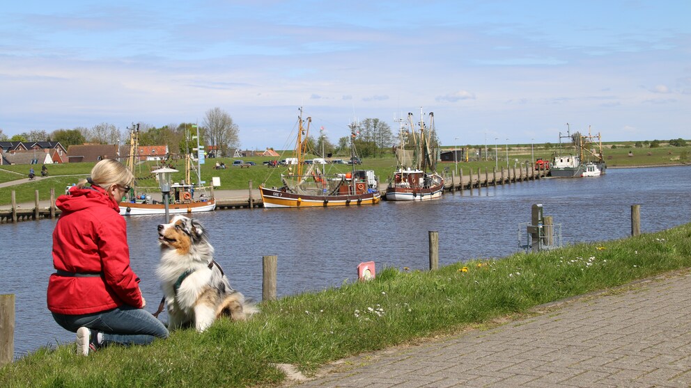 Reportage Greetsiel