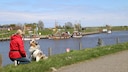 Reportage Greetsiel