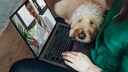 Frau mit Laptop und Hund auf dem Schoß