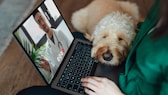 Frau mit Laptop und Hund auf dem Schoß