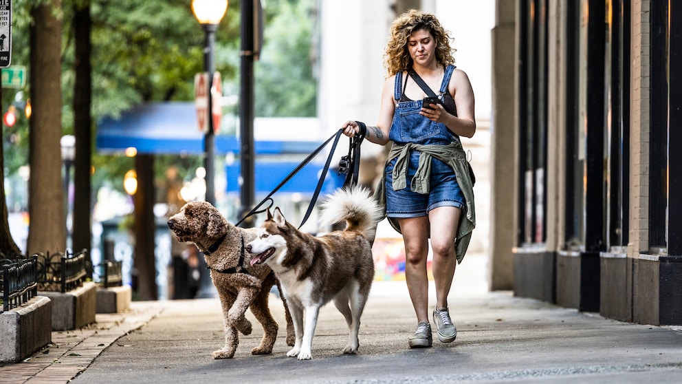 Frau beim Spaziergang in der Stadt mit zwei angeleinten Hunden