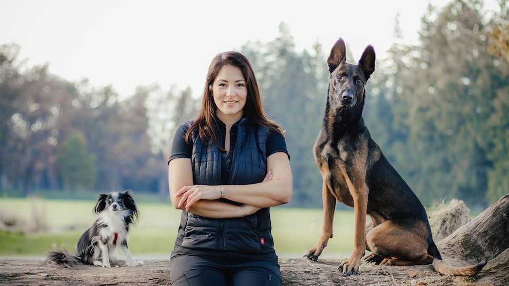 Hundetrainerin Andrea Stelzig posiert mit einem Schäferhund und einem Chihuahua auf einer Waldlichtung.