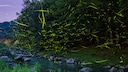 Glühwürmchen übe einem Fluss