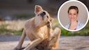 Kollage aus Hund, der sich kratzt und Portr&auml;t von Dr. Julia Fritz