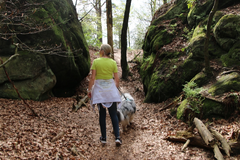 Manuela Lieflaender und Hund Elvis durchwandern die Dörenther Klippen im Teutoburger Wald.