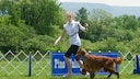 Frau mit Hund beim Ringlaufen auf der Hundeshow