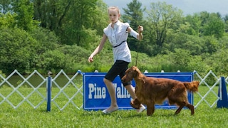 Frau mit Hund beim Ringlaufen auf der Hundeshow