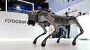 Roboterhund