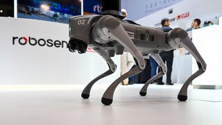 Roboterhund