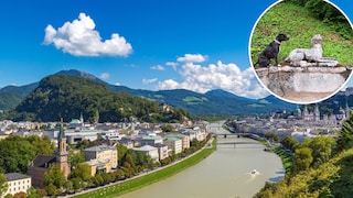 Salzburg mit Hund