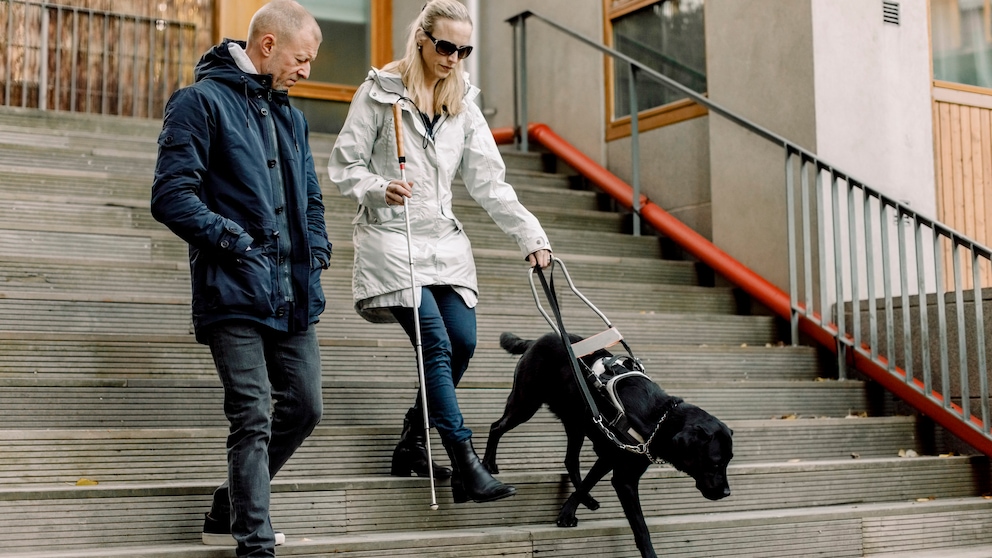 Eine blinde Frau läuft mit ihrem Blindenführhund und einer Begleitung eine Treppe herunter.