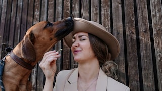 Hunde schnüffelt an Halterin