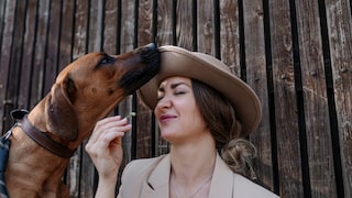 Hunde schnüffelt an Halterin