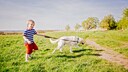 Junge läuft mit Hund an der Leine über eine Wiese