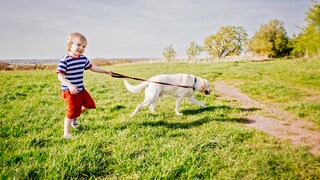 Junge läuft mit Hund an der Leine über eine Wiese