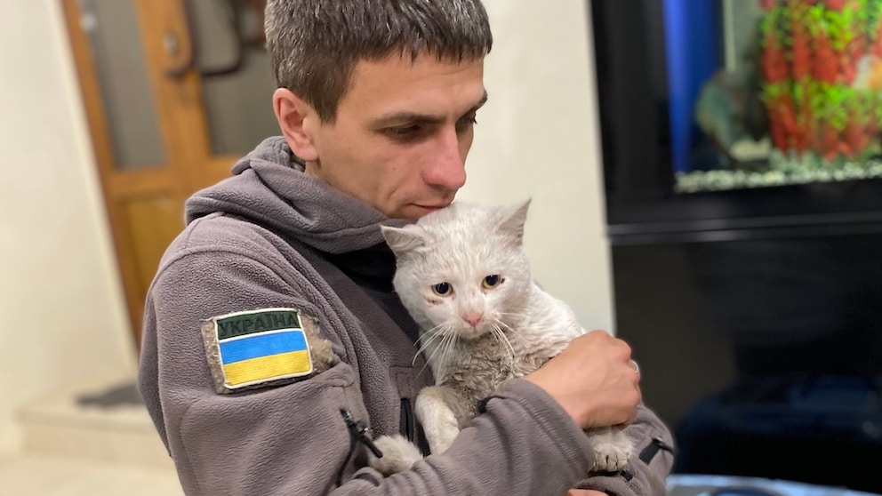 Eine kleine weiße Katze hockt traumatisiert auf dem Arm eines Soldaten