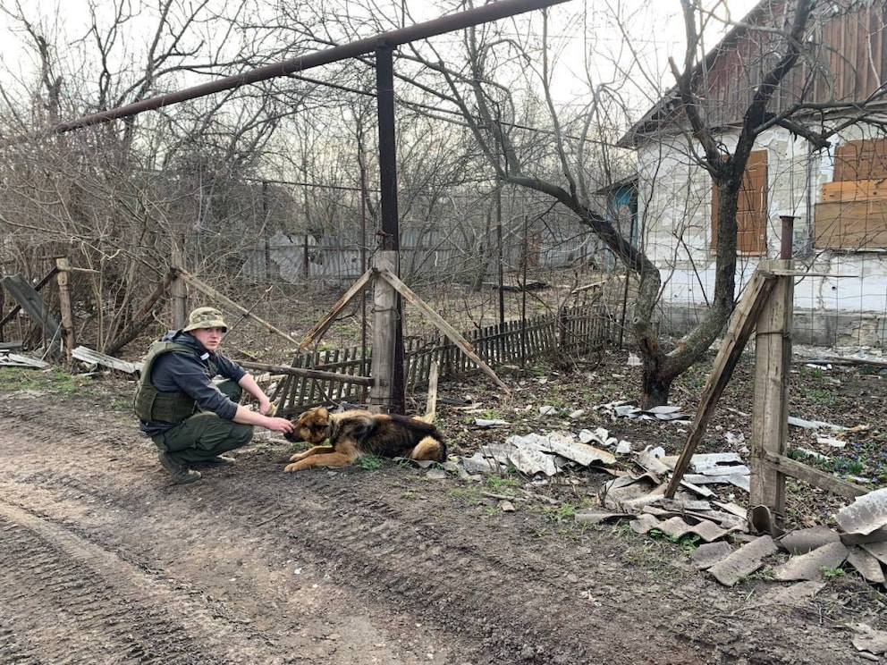 Ein Soldat beruhigt einen Schäferhund vor einem zerstörten Haus