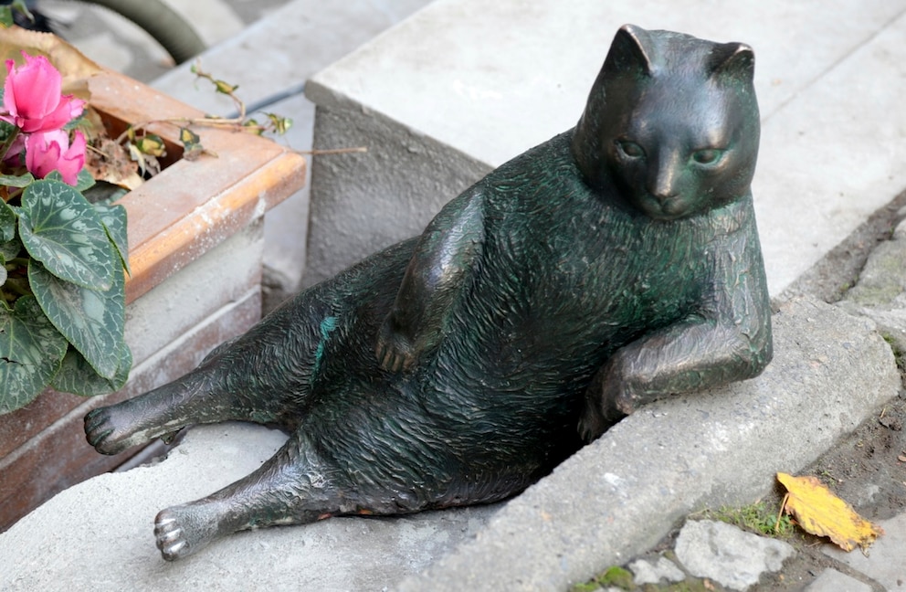 Tombili-Katzen-Statue in Istanbul