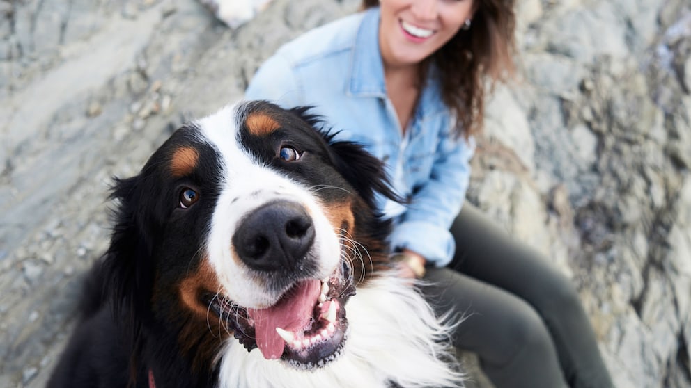 Ein fröhlicher Hund und seine Halterin am Strand