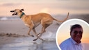 Collage aus rennendem Hund an Strand und Portr&auml;t von Prof. Martin Kramer