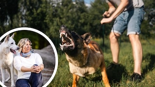 Collage aus bellendem Schäferhund an der Leine und Porträtbild von Hundetrainerin