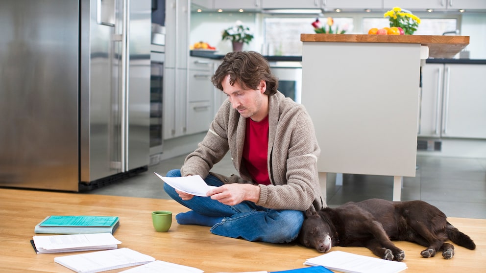 Hundetraining von der Steuer absetzen