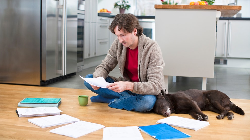 Hundetraining von der Steuer absetzen