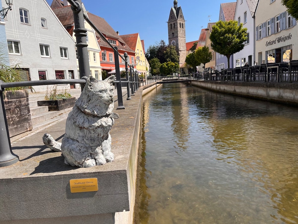 Statue von Kater Chicco in Memmingen