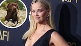 Der Familienhund von Reese Witherspoon ist gestorben.