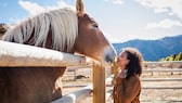 Ein Pferd steht auf seiner Koppel und beschnuppert eine Frau hinter dem Zaun