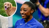Collage von Simone Biles beim Turnen und einem glücklichen Golden Retriever