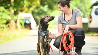 Vanessa Bokr, Geschäftsführerin der Hellhound Foundation e. V., mit einem Hund