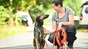 Vanessa Bokr, Geschäftsführerin der Hellhound Foundation e. V., mit einem Hund