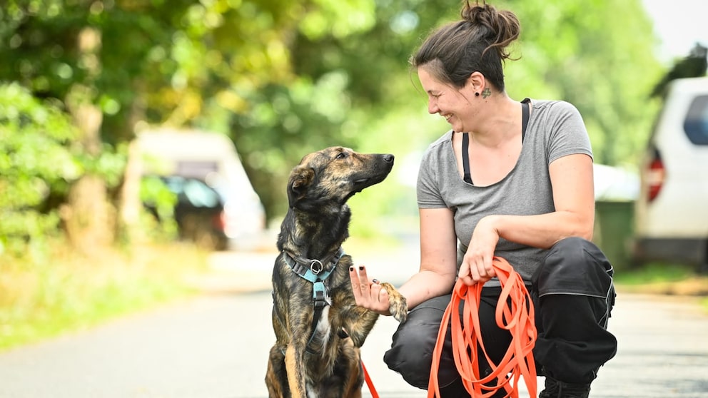 Vanessa Bokr, Geschäftsführerin der Hellhound Foundation e. V., mit einem Hund