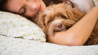 Frau liegt mit Hund im Bett