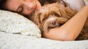 Frau liegt mit Hund im Bett