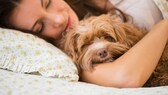 Frau liegt mit Hund im Bett