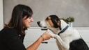Frau schaut ihrem Hund in die Augen und h&auml;lt seine Pfote in der Hand