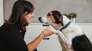 Frau schaut ihrem Hund in die Augen und hält seine Pfote in der Hand