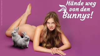 Playmate Laura Langas posiert für die Tierschutzorganisation Peta. Doch nicht alle halten sie für eine geeignete Botschafterin