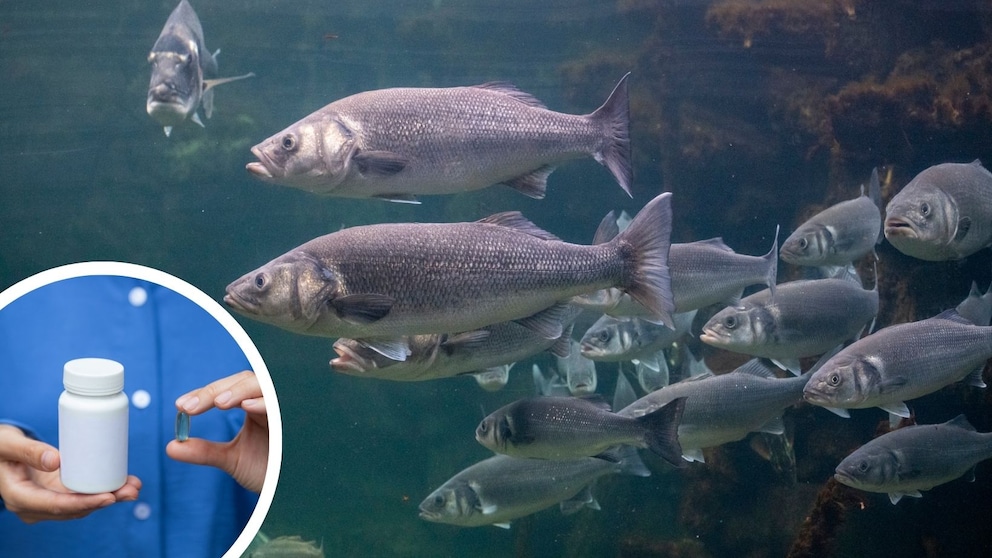 Eine neue Studie hat Rückstände von Medikamenten und Drogen im Wasser nachgewiesen. Die Folgen für die Natur sind verheerend.