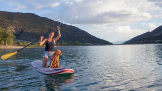 Eine Frau kniet auf ihrem Stand-Up Paddle mit ihrem Hund.