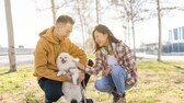 Die vier hundefreundlichsten Städte Deutschlands wurden jetzt gewählt. Überraschend für viele: weder Berlin, Freiburg oder München haben es ins Ranking geschafft.