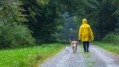 Eine Frau geht mit ihren Hunden bei Sturm spazieren