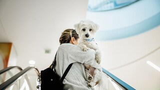 Eine Frau trägt ihren kleinen Hund auf der Rolltreppe