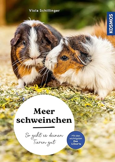 Meerschweinchen - So geht es deinen Tieren gut